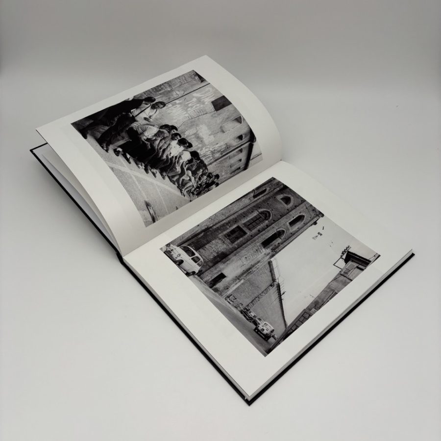 IMG_5773 - dimensioni grandi